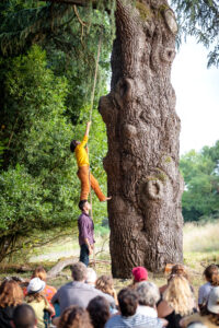 Photo du spectacle " Conversation avec un arbre ". 